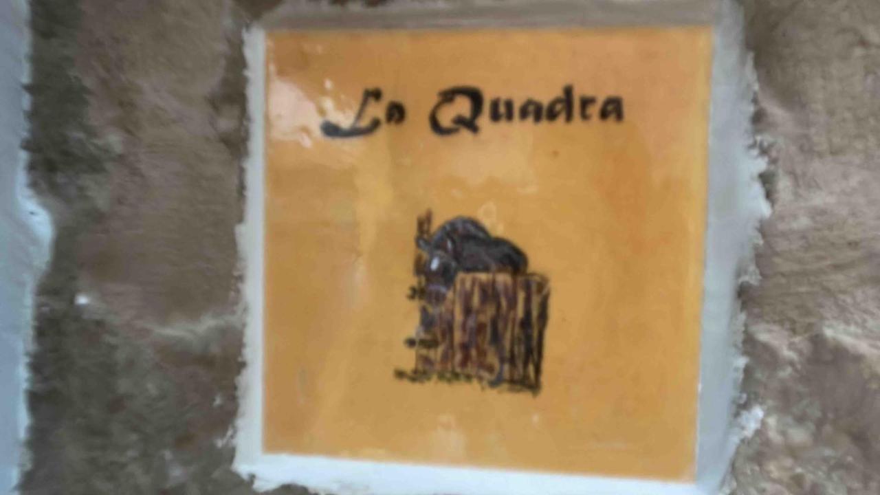 Castell De L'Aguda Hotel Torá de Riubregós Kültér fotó
